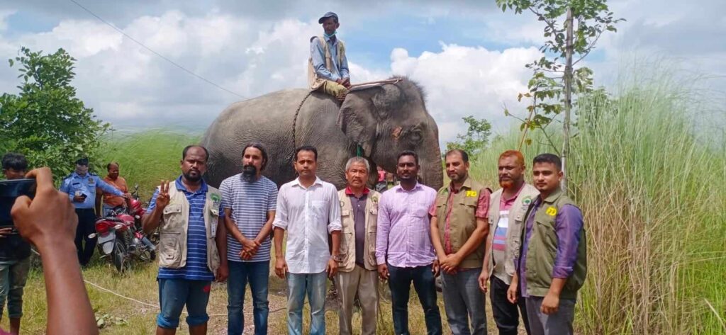 বন বিভাগের অভিযানে উদ্ধার নির্যাতিত হাতি, চাঁদাবাজ চক্রের মাহুত আটক