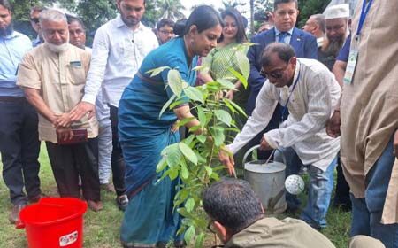 গাছের চারা রোপণের উদ্বোধন