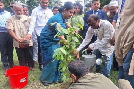 গাছের চারা রোপণের উদ্বোধন