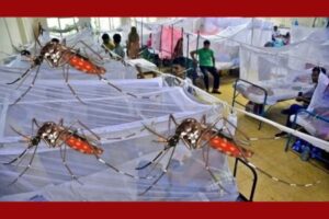 অক্টোবরের ৯ দিনেই ডেঙ্গুতে অর্ধশত মৃত্যু