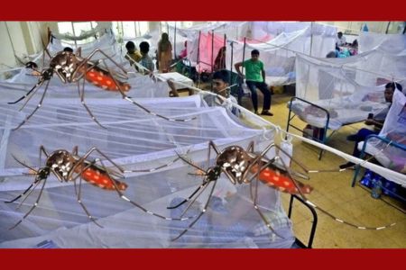 অক্টোবরের ৯ দিনেই ডেঙ্গুতে অর্ধশত মৃত্যু