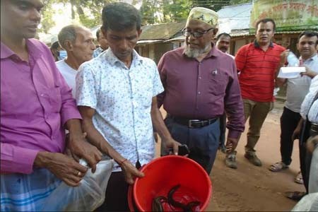 আগৈলঝাড়ায় কুচিয়া চাষ প্রকল্প পরিদর্শন করে মৎস্য অধিদপ্তরের প্রধান বৈজ্ঞানিক কর্মকর্তা