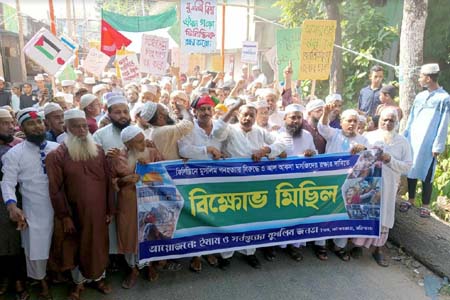 নিহত ফিলিস্তিনীদের রুহের মাগফিরাত কামনায় আগৈলঝাড়ায় দোয়া-মোনাজাত