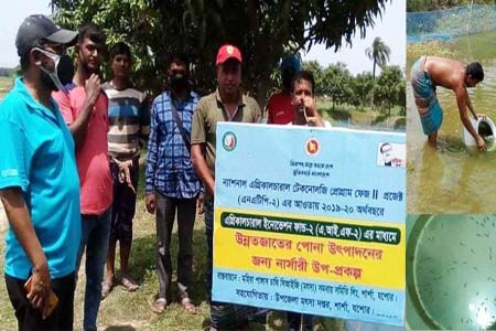 শার্শা’র মহিষা সিআইজি সমিতির নিজস্ব পুকুরে ধানী পোনা অবমুক্তকরণ