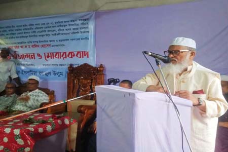 আলেম সমাজ আলোর মিনার