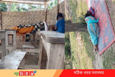 ফুলবাডী সরকারি প্রাথমিক বিদ্যালয়ের প্রধান শিক্ষিকা উঁকুন তোলেন শিক্ষার্থীদের দিয়ে