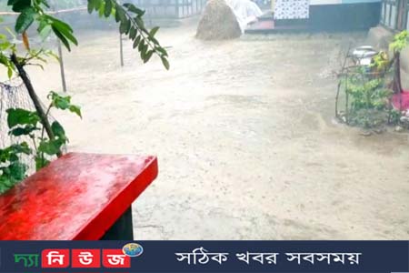 ফসলের ব্যাপক ক্ষতি