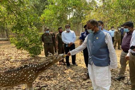 বঙ্গবন্ধু শেখ মুজিব সাফারি পার্ক, কক্সবাজারকে বিশ্বমানের সাফারি পার্কে পরিণত করা হবে -পরিবেশ ও বনমন্ত্রী