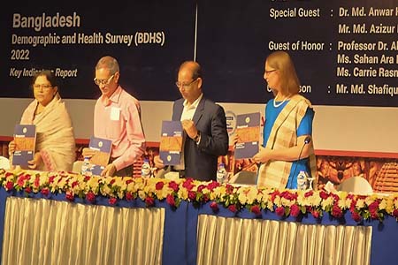 বাংলাদেশ ডেমোগ্রাফিক অ্যান্ড হেলথ সার্ভে