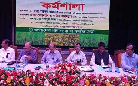 আন্তর্জাতিক বাজারে দাম