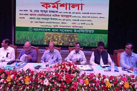 আন্তর্জাতিক বাজারে দাম