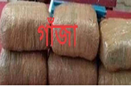 বেনাপোল সীমান্তে গাঁজা সহ ৩ মাদক ব্যবসায়ী আটক