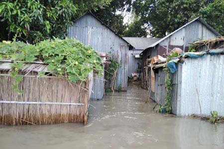 বেড়ায় মানুষ পানি বন্ধি