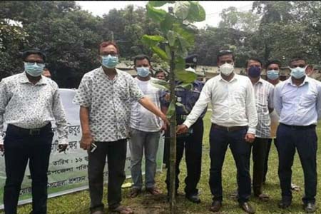 বোদায় বঙ্গবন্ধু'র জন্ম শতবার্ষিকী উপলক্ষ্যে বৃক্ষ রোপন কর্মসূচির উদ্বোধন