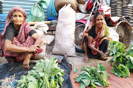 শাক-কচু বিক্রিতেই চলছে নিত্য সংগ্রামী মালেকাদের জীবন
