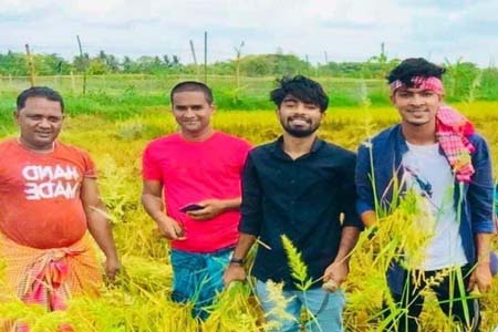 নোয়াখালীর সুবর্ণ চরে কৃষকের জমির ধান কেটে বাড়িতে পৌছে দিচ্ছে আরিয়ান খাঁন আরজুর নেতৃত্বে ছাত্রলীগ