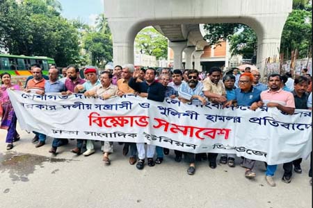 সাংবাদিক হত্যা ও নির্যাতনের প্রতিবাদে ডিইউজের বিক্ষোভ সমাবেশ