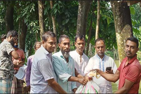 ডাসার  ইমারত শ্রমিক ইউনিয়নের উদ্যোগে শ্রমিকদের মাঝে ত্রান বিতরণ