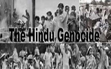 Delhi Hindu Genocide