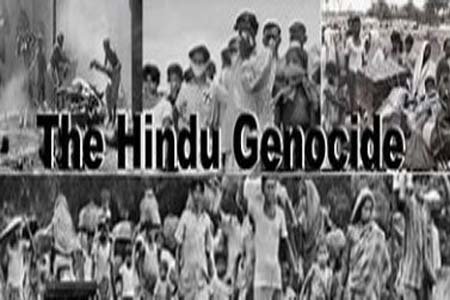 Delhi Hindu Genocide