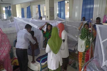 ডেঙ্গু রোগী ভর্তি