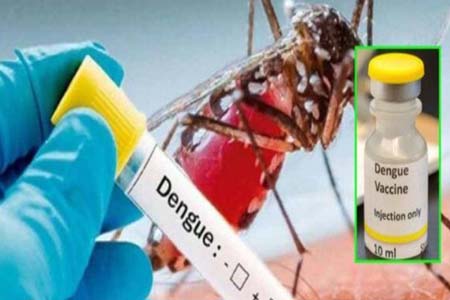 ডেঙ্গু টিকার সফল পরীক্ষা