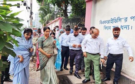 কাঠের বিকল্প বহুমুখী পণ্য