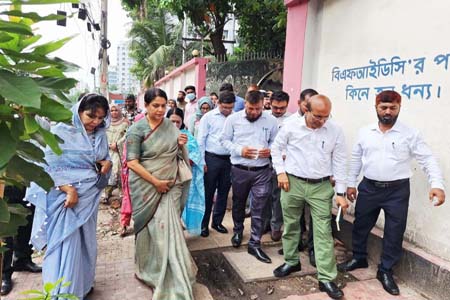 কাঠের বিকল্প বহুমুখী পণ্য