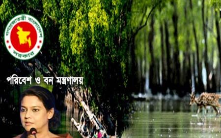 পলিথিনমুক্ত শপিংমল