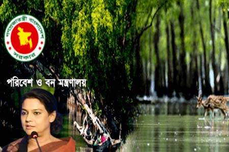 পলিথিনমুক্ত শপিংমল