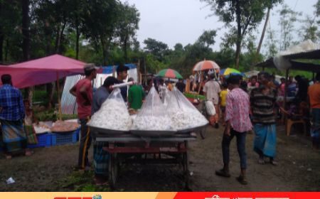 ঐতিহ্যবাহী দেড়শো বছরের অধিক পুরোনো দশহারার মেলা 