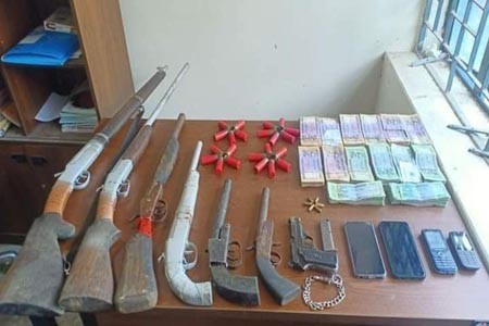 https://thenewse.com/wp-content/uploads/Firearms.jpg