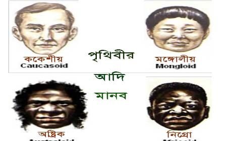 পৃথিবীর চারটি মৌলিক জনগোষ্ঠী