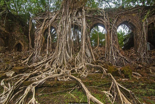 আন্দামানের ভূতুড়ে দ্বীপ