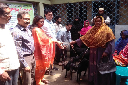 কালীগঞ্জে স্বামী পরিত্যক্তা অসহায় বিধবা ও দু:স্থ মহিলাদের মাঝে ছাগল বিতরন