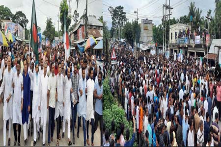 গৌরনদীতে যথাযোগ্য মর্যাদায় প্রধানমন্ত্রীর ৭৫ তম জন্মদিন পালিত