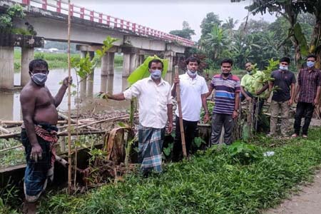 এইচবিএফের বৃক্ষরোপণ