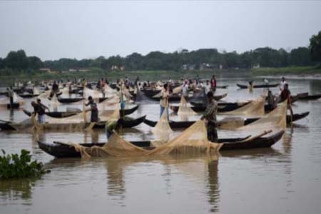 হালদা নদীকে মৎস্য হেরিটেজ