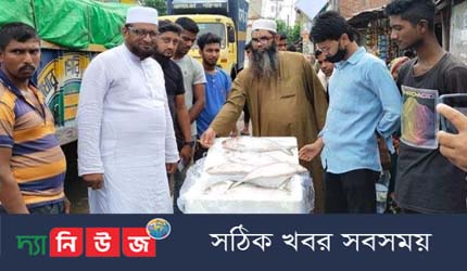ভারতে গেল ৩১২ পদ্মার মেট্রিক টন ইলিশ