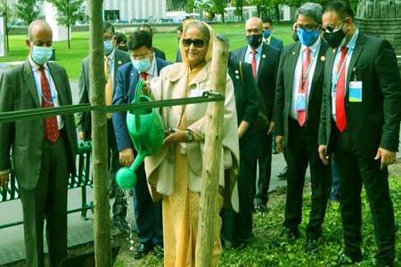 জাতিসংঘ সদরদপ্তরে বঙ্গবন্ধুর নামে হানি লোকাস্ট গাছ রোপণ করেছেন প্রধানমন্ত্রী শেখ হাসিনা