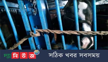 ভারত থেকে এল পুলিশের জন্য আরও ৬টি ঘোড়া