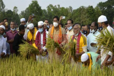 কৃষিতে ভর্তুকি ও নানামুখী উদ্যোগের কারণেই ধান উৎপাদন বেশি হয়েছে -কৃষিমন্ত্রী