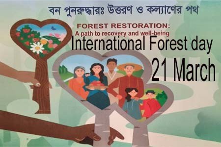 https://thenewse.com/wp-content/uploads/International-Forest-Day.jpg