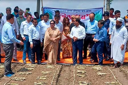 বাংলাদেশের চিনি শিল্প