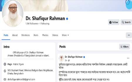 আপাদমস্তক জংলি সমাজে পরিণত