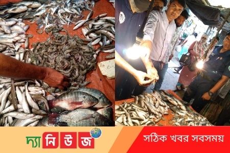চিংড়িতে বিষাক্ত জেলি মেশানোয় এক ব্যবসায়ীকে জরিমানা