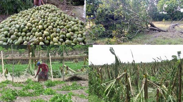 ঘুর্ণিঝড় আম্পানে চাষী ক্ষতিগ্রস্থ