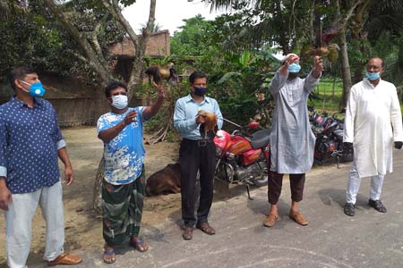 ঝিনাইদহের কাকিয়ার বিল থেকে কারেন্টজালসহ অতিথি পাখি উদ্ধার