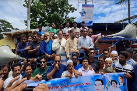 কালকিনিতে বিএনপি'র শোভাযাত্রা