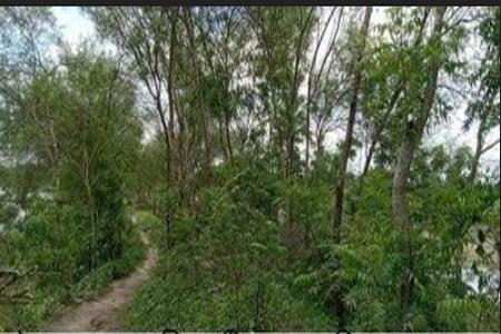 উপকারভোগীদের হয়রানি